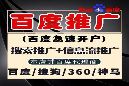 百度广告推广技巧分享案例